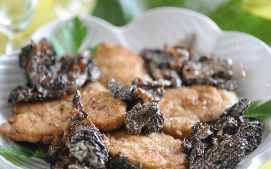 Ris de veau aux morilles