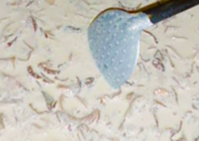 Sauce au cèpes du Lozérien